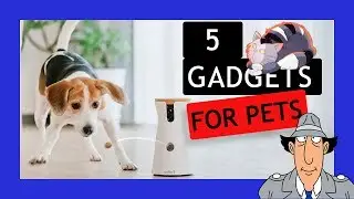 🔥 5 BEST PET GADGETS ON AMAZON 2019 #3 🔥