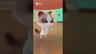 Season2 EP187A Fantasy Realm Ruled by a Ragdoll #cat #ai #short #cats_of_instagram#adiaava#guessthes