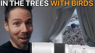 I Live in the TREES With BIRDS
