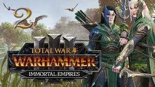 БОЙНЯ СРЕДИ ДЕРЕВЬЕВ! Total War: Warhammer 3 Immortal Empires, кампания №2 — «Сёстры Сумерек»