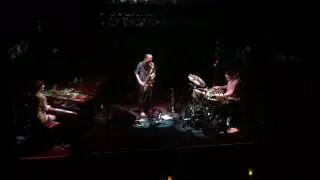 Mammal Hands - Kudu