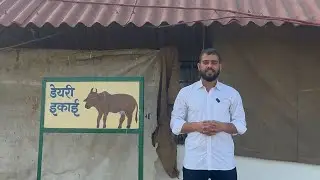 Complete information about Gir cow / गिर गाय के बारे में संपूर्ण जानकारी #gircow 