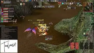 Shaiya Fawkes - PVP 80 (Ranger) #3 // RANK UP 🔷🔷