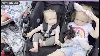 BOB Gear Revolution Flex 3 0 Duallie Double Jogging Stroller