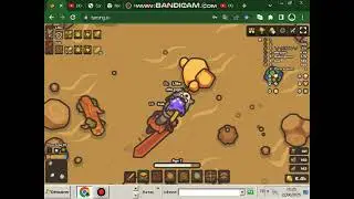 combat pets combo