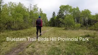 Day Hike in Birds Hill Provincial Park: Bluestem Trail