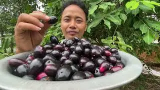 Plum Fruit | Sweet and Sour Taste🍃