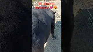 c&oacute;mo ven a &eacute;ste hermoso tanque miren que chulada 😍💖