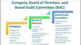 Company Board of Directors and Board Audit Committee BAC | What they are?