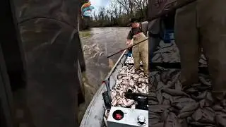 A HIDDEN FISH PARADISE FOUND BY ACCIDENT #amazing #fishingnet #shorts