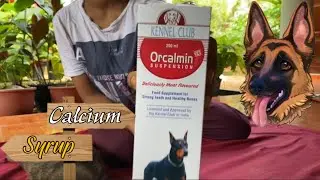 Calcium Syrup For German Shepherd Puppies | The Champions Squad