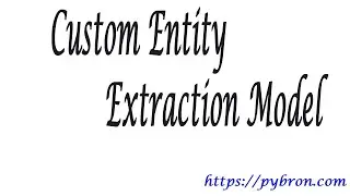 Custom Entity Extraction Model | AI | Machine Learning | #pybron