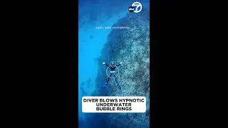 Diver blows hypnotic underwater bubble rings
