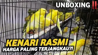 TEMPATNYA KENARI RASMI MEWAH‼️Soal kualitas dan harga bisa dibuktikan