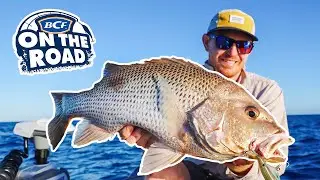 Offshore Fishing for Fingermark and Large-mouth Nannygai