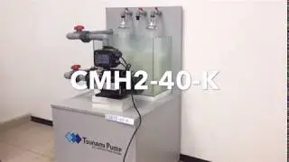 Tsunami Pump CMH2-40-K Demo