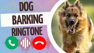 Big Angry Dog Barking Sound / Alarm / Ringtone | Best Trending Ringtones for iPhone, Android