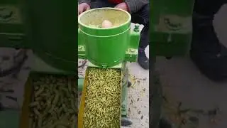 Small home use feed pellet making machine animal feed pellet mill #pelletmakingmachine
