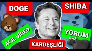 SHIBA VE DOGE KARDEŞLİĞİ ELON MASK TWEET ATTI &Ouml;NEMLİ GELİŞME