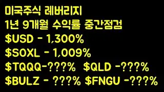 미국주식 레버리지 종목 etf & etn 중간점검 USD 13배 SOXL 10배