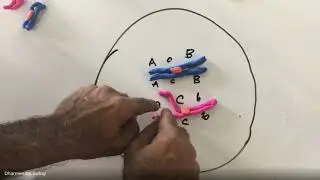 Crossing Over in Meiosis