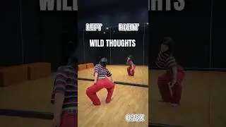 TUTORIAL 0.75X WILD THOUGHTS #wildthoughts #monkeytownstudio #เรียนเต้นรามอินทรา