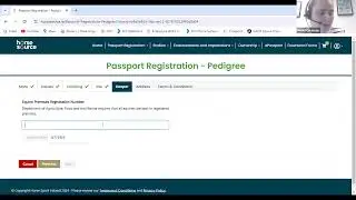 Horse Sport Ireland webinar to demonstrate new e-passport system 'Horse Source'