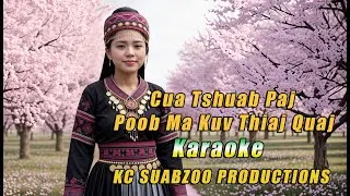 Cua Tshuab Paj Poob Ma Kuv Thiaj Quaj (KC Female Cover Music Video) Best Hmong Song Karaoke #cover