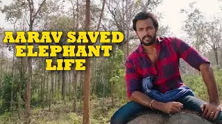 Bheema's Intelligance Saves Lots of Elephants Life | Rajabheema | Mishri Movies
