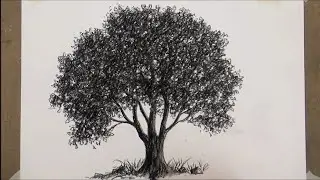 BASİT AĞAÇ ÇİZİMİ (Karakalem)