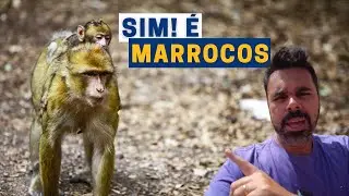 O QUE FAZER no caminho entre FÈS e o Deserto do SAHARA no MARROCOS - LUIZ POR AÍ