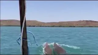 TpB Pilbara Dugong hunting Christmas meat sesh 🚳