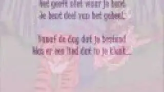 Bamboe Beren Intro & Outro Dutch