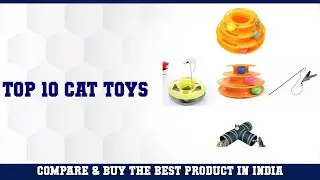 Top 10 Cat Toys to buy in India 2021 | Price & Review