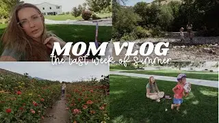 Last Week of Summer Break | Pregnant Stay at Home Mom of 2 Prepares for Kindergarten