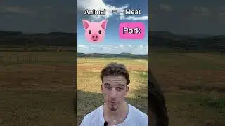 Do you know meat?