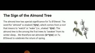 🎄 The Sign of the Almond Tree 🎄
