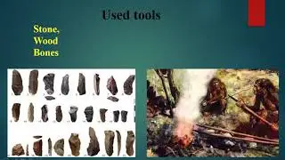 8TH STD SOCIAL (HIST0RY) CHAPTER-2 GEOGRAPHICAL FEATURES AND PRE-HISTORIC INDIA  PART-2