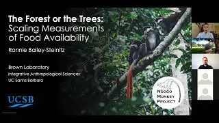 Ronnie Bailey-Steinitz: The forest or the trees: Scaling...(2021 Spatial Lightning Talks)