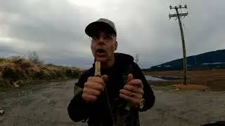 Canada Geese calling hunting in BC PRACTICE