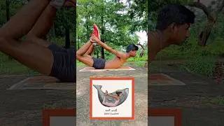 5 Animal Poses 🔥🔥#animalflow #viral #flexibility #animal #animals #shorts #short #viralvideo