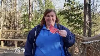Zoo Science: Science of Birding: Test Your Skills