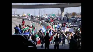 Cost to Educate Illegal Alien Kids and Percentage of Whites in America