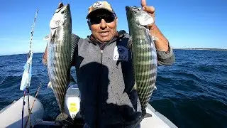 PESCA DE BONITOS EN NECOCHEA!!!!!