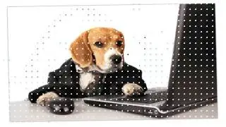 videoanimales