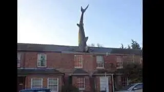Headington Shark - Oxford