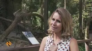 Zooparque Itatiba - Hoje Tem - (21/07/16)