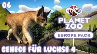 PLANET ZOO • Europe Pack • 06: Gehege für Luchse 4