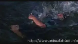 Movie Stills From Raging Sharks (2005)