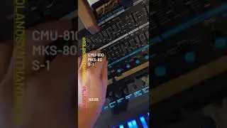 Roland CMU-810/MKS-80/S1, Elicktronic Nava Track